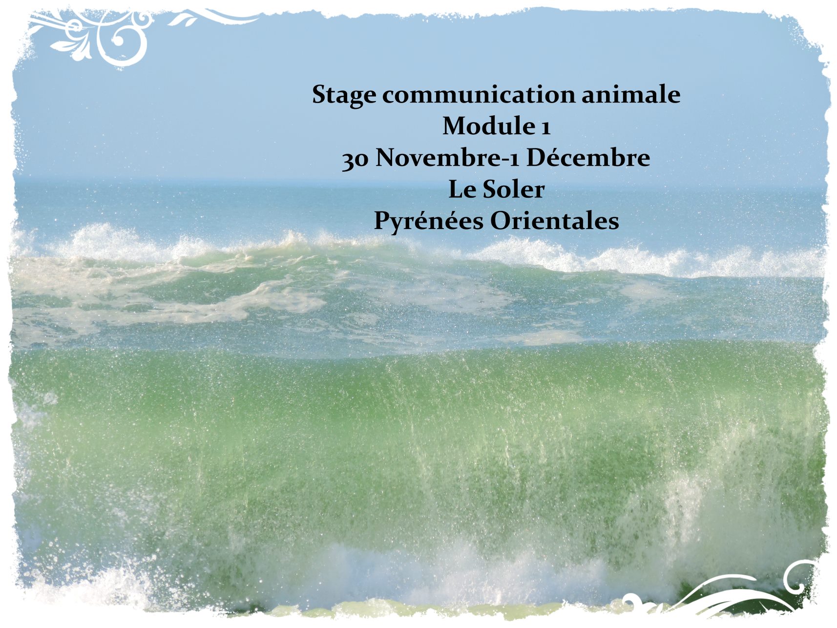 Stage module 1 novembre decembre